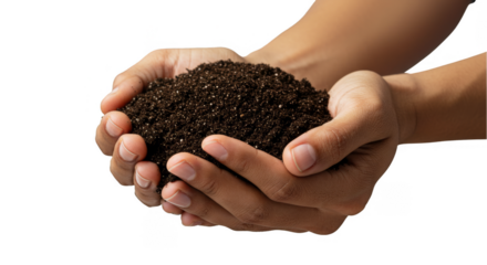Close Up Photo of Hands Holding Rich Soil Dark Brown on Transparent
