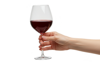 Isolated Hand Holding Red Wine Glass Beverage Alcohol Transparency