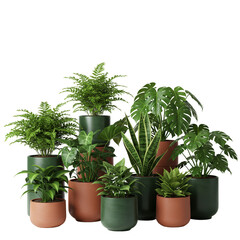 Fototapeta premium Group of Potted Green Plants with Foliage on Transparent Background