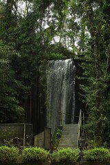 Beautiful waterfall and green plants in tropical park