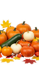 Isolated Pile of Pumpkins Gourds and Fall Leaves on Transparent Background