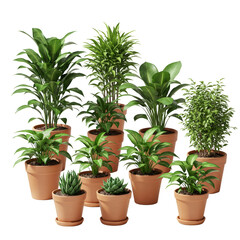 Obraz premium Illustration of Potted Green Houseplants Grouped on Transparent Background