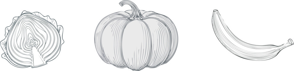 Sketch of cabbage, pumpkin and banana.  