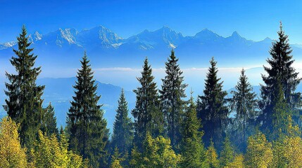 Obraz premium Majestic Mountain Vista with Evergreen Forest