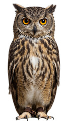 Obraz premium Portrait of an Isolated Eagle Owl with Transparent Background
