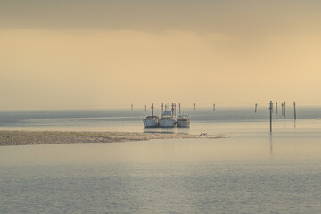 Fishing boats moored at Oyster Point