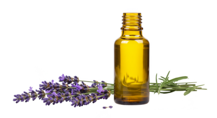 Isolated Essential Oil Bottle With Lavender Flower Transparent Background