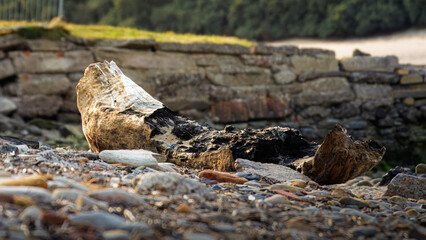 Large sections of Drift Wood washed up in recent storms, Cambois Beach, Northumberland, 3rd June 2025