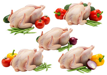 Isolated Raw Chicken Still Life with Transparent Background