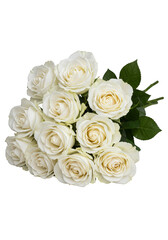 Obraz premium Isolated Transparent Background of White Roses Bouquet Floral Arrangement