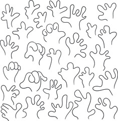 Corals, plants or biomasses resemble or imitate human hands and fingers in shape.