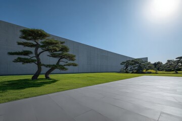 Sun shining on a large concrete wall in a japanese style garden with green grass and pine trees, minimalist architecture