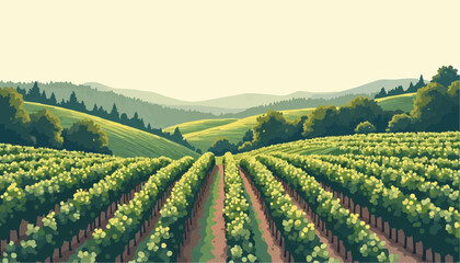 Vineyard landscape with rows of grapevines
