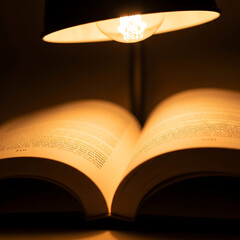 Illuminated Book A Warm Glow of Reading and Knowledge