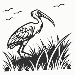 Ibis bird in tall grass monochrome illustration