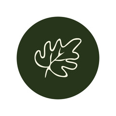 Obraz premium Maple Leaf Outline Icon - Fall Botanical Vector