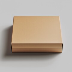 Elegant Cardboard Box Packaging Flat Lay of Neutral, Minimalistic and Environmentally Friendly Product Template for Creative Branding and Retail Presentation
