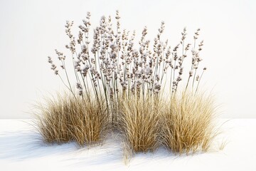 Fototapeta premium Elegant Wildflower and Pampas Grass Floral Arrangement for Modern Garden Design and Sustainable Home Decor