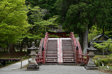 丹生都比売神社の参道