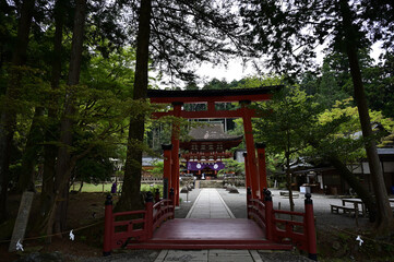 丹生都比売神社の参道