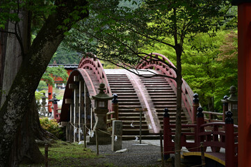 丹生都比売神社の参道