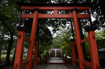 丹生都比売神社の参道