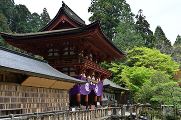 丹生都比売神社の社殿