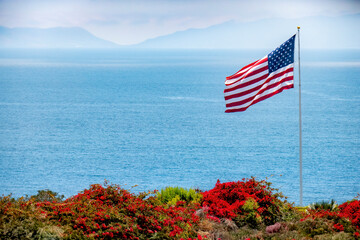 American Flag with Springtime red flower foreground and ocean background