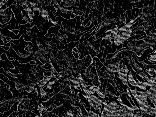 Monochromatic Flag Shadow on Tapestry Background Design