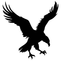 Obraz premium Eagle Diving Silhouette With Extended Talons in a Dramatic Pose