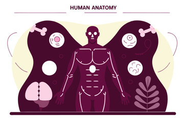 Stylized Illustration Anatomical Human Figure, Bones, Brain, Blood Cells, and a Plant