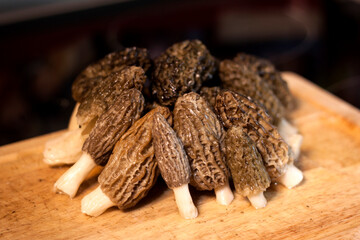 Morchella, the true morels mushroom is delicious eatable fungi used by gourmet chefs especially in...