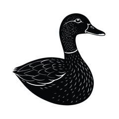Duck animal vector art illustration 