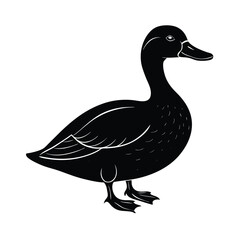 Duck animal vector art illustration 