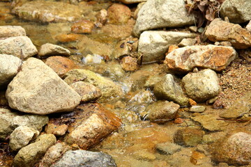 小岩と小川の流れ