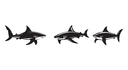 Fototapeta premium Dolphin silhoutte