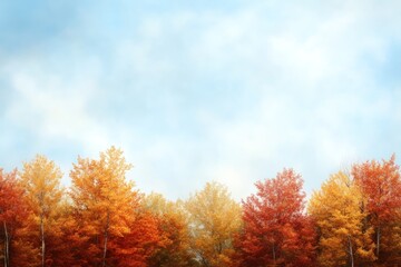 Autumn forest landscape with colorful fall foliage and sky