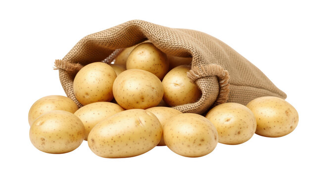 Potatoes in burlap sack