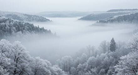 Winter wonderland: snow-covered forest emerging through dense fog shrouded valleys