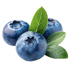 Obraz premium blueberry on a white background