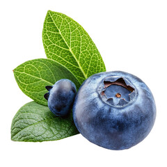 Obraz premium blueberry on a white background
