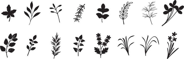 Obraz premium Botanical Silhouettes. Vector Set of Leaves, Flowers, and Branches for Natural Design.