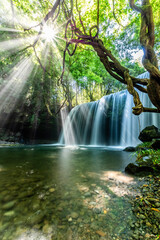 Sunbeams Shine Through Forest onto Nabegataki Waterfall in Kumamoto, Japan