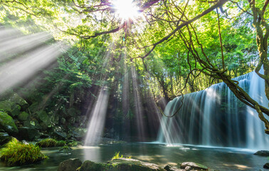 Sunbeams Shine Through Forest onto Nabegataki Waterfall in Kumamoto, Japan