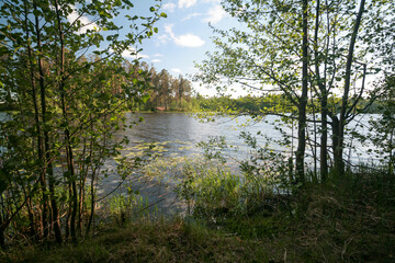 A lake surrounded by a spring forest, Russia.