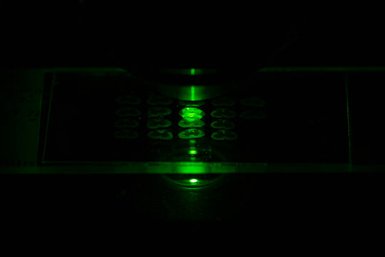 microscopy, confocal microscopy, fluorescent, laboratory, microscope, analyzing, spinal cord, research, biology, biotechnology, color image, examining, healthcare and medicine, science, tissue, tissu