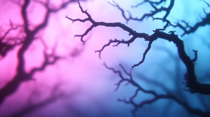 Bare branches silhouette against pink and blue dreamy background