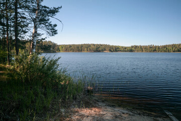 A lake surrounded by a spring forest, Russia.
