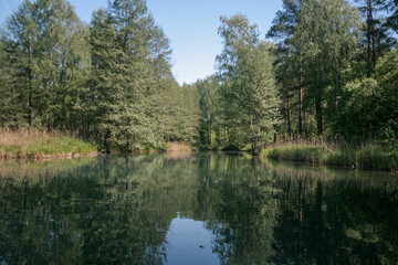 The Surin River in a spring forest, Vorsma, Russia.