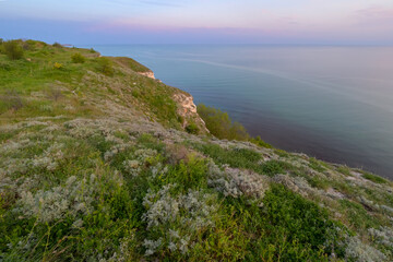 Grassy Cliff Edge Overlooking Calm Black Sea at Twilight